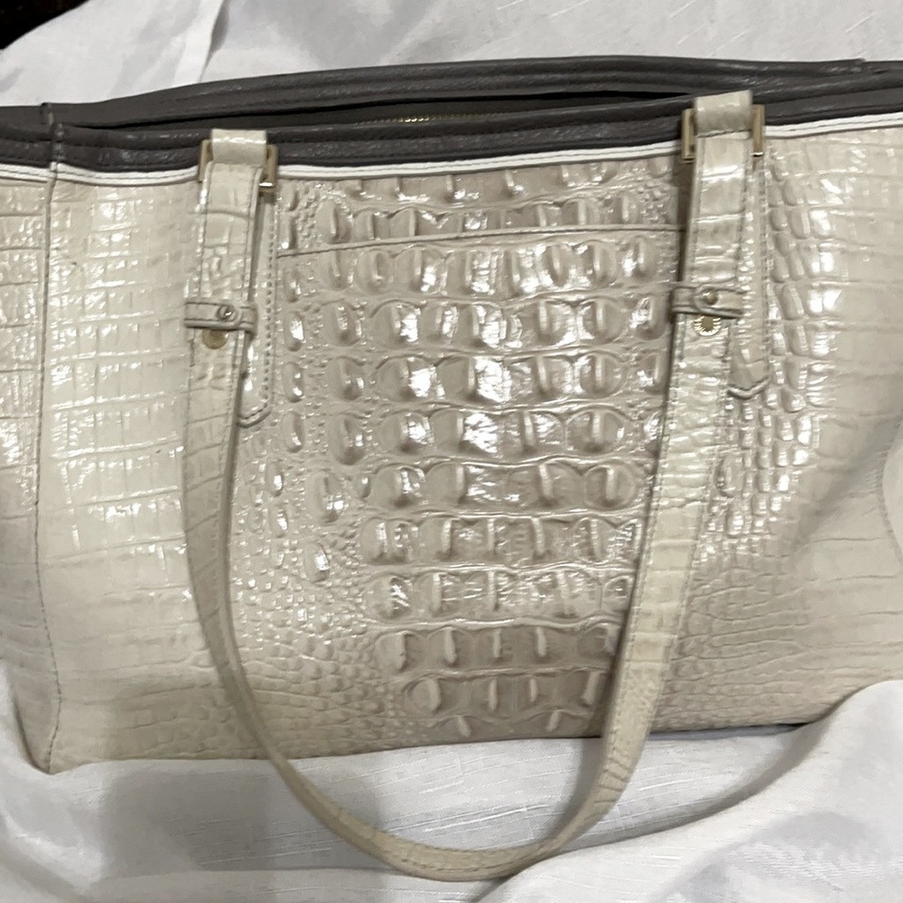 Brahmin - Picture 8 of 11